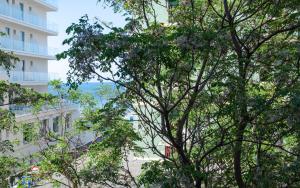 un albero di fronte a un edificio bianco di FRONTE MARE a Pesaro