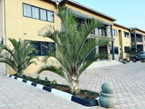 un palmier devant un bâtiment dans l'établissement Roma Apartments, à Lusaka