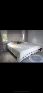 1 cama grande en un dormitorio con 2 ventanas en General Roca hermosa habitacion con baño privado en General Roca