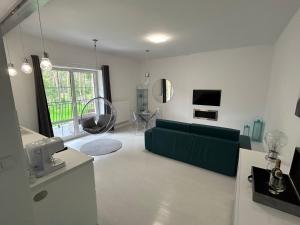 salon z zieloną kanapą i oknem w obiekcie PRZYTULNY APARTAMENT Z KOMINKIEM PRZY JEZIORZE w Bornem-Sulinowie