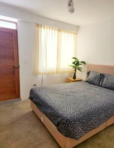 - une chambre avec un lit et une fenêtre avec une plante dans l'établissement Casa del Norte: Casa del Norte: Mediterranean Charm in Lobitos, Peru - Ideal Surf Haven for All Levels, à Lobitos