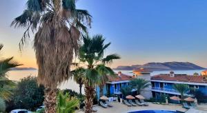 a resort with palm trees and a view of the water at Aquarius Hotel in Kaş