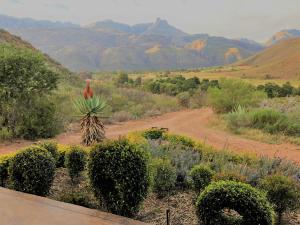 a view of a desert with a plant and mountains at Oaksrest Vineyards Guest Farm in Ladismith