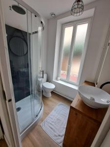 een badkamer met een douche, een wastafel en een toilet bij Appartement Vichy Centre-ville Proche Cure Thermale in Vichy