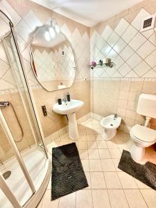 a bathroom with a sink and a toilet and a shower at Pensiunea Beatrice in Întorsura Buzăului