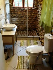 a bathroom with a shower and a toilet and a sink at Oaksrest Vineyards Guest Farm in Ladismith