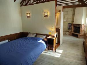 ein Schlafzimmer mit einem blauen Bett und einem Kamin in der Unterkunft Maison au cœur des châteaux. in La Chapelle-aux-Naux