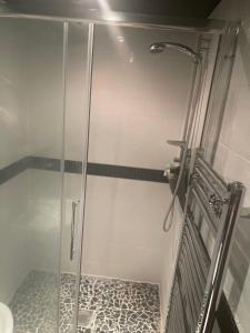 a shower with a glass door in a bathroom at The Snug - Luxury En-suite Cabin with Sauna in Grays Thurrock in Grays Thurrock