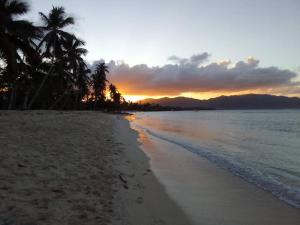 a beach with palm trees and the ocean at sunset at Típica casa dominicana in Las Galeras