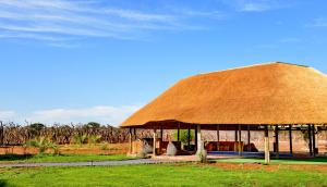 a hut with a straw roof on a field at Eco-Lodge Gamagara Africa 