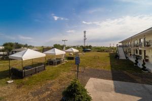 a group of tents in a yard next to a building at Complex Route 66 in Vama Veche
