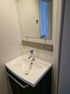 拉特朗布拉德的住宿－Mobil home 108 Siblu La Pignade Fun pass non inclus，一间带水槽和镜子的浴室