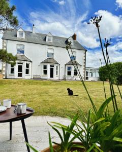 佩伦波斯St George's Hotel的坐在大房子前面的一只黑猫