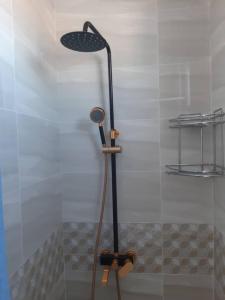 a shower in a bathroom with a shower head at Yurt camp Meiman Ordo in Bokonbayevo