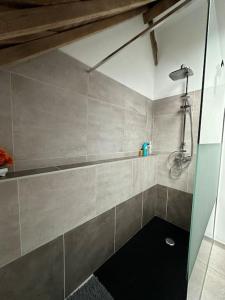 ein Bad mit einer Dusche und einer Badewanne in einem Zimmer in der Unterkunft Gîte de la vieille grange in Lobbes