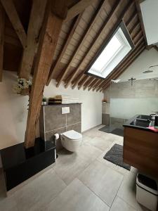 a bathroom with a toilet and a sink and a window at Gîte de la vieille grange in Lobbes