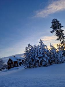 Jock的住宿－Överkalix Kalixalven Lodge Jockfall，雪中的房子,前面有树木