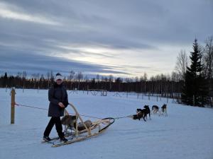 a woman is pulling a sled with two dogs at Överkalix Kalixalven Lodge Jockfall in Jock