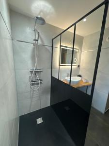 a bathroom with a shower and a sink at La reine appartement pour deux personnes avec magnifique vue et jacuzzi in Gérardmer