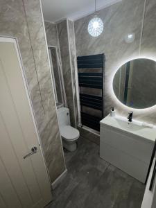 a bathroom with a toilet and a sink and a mirror at 34 Green Arbour Road in Brampton en le Morthen
