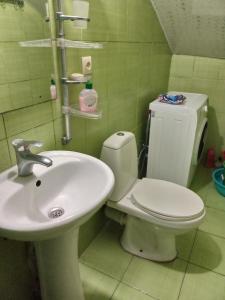 a bathroom with a toilet and a sink at birdhome in Tbilisi (Maria) in Tbilisi City