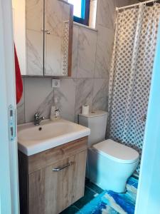 La salle de bains est pourvue d'un lavabo, de toilettes et d'une douche. dans l'établissement Antalya villa, à Kemerağzı