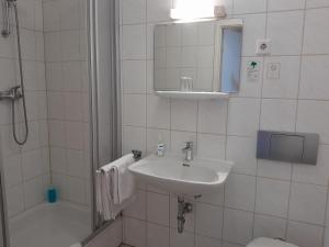 Koupelna v ubytování Hotel-Gasthof Opel