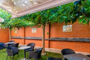 Zahrada ubytování Hotel Palacios