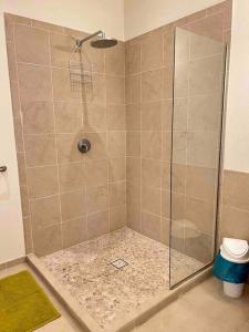 La salle de bains est pourvue d'une douche avec une porte en verre. dans l'établissement Aruanda Apartment - perfect get-away for two at the top of Bequia, à Union