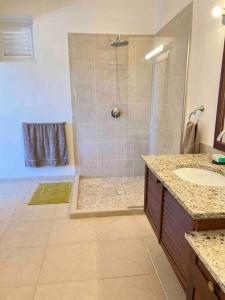 ein Bad mit einer Dusche und einem Waschbecken in der Unterkunft Aruanda Apartment - perfect get-away for two at the top of Bequia in Union