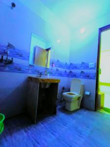 W łazience znajduje się toaleta, umywalka i lustro. w obiekcie Hotel S-14 w mieście Dżajpur