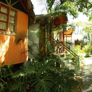 a house with a bunch of plants in front of it at Hosteria Cabanas Itapoa in Puerto López
