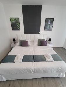 2 camas en una habitación con paredes blancas y almohadas moradas en Apartmán Gabriela en Roudné