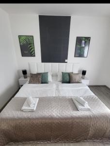 Roudné的住宿－Apartmán Gabriela，一间卧室配有两张带毛巾的床