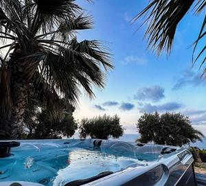 a swimming pool with a palm tree and the ocean at Villa Valmar Scopello in Castellammare del Golfo