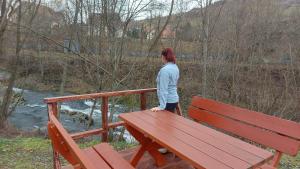 a woman standing on a bench next to a river at B&B Emarik in Podobin