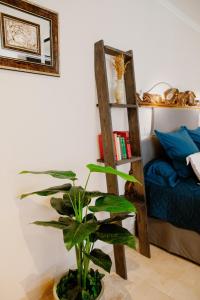 a plant in a room next to a book shelf at Suite de Diane - Premiere conciergerie in Nîmes