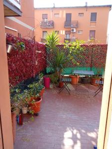 a patio with a bunch of potted plants and a building at M. BINI B&B in Bologna
