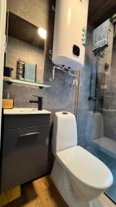 y baño con aseo, lavabo y ducha. en Mesipesa Green Lodge, en Laagna