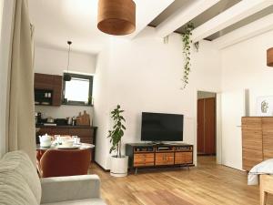 a living room with a television and a couch at Apartment Loft Lomnica in Tatranská Lomnica