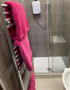 a pink towel on a rack in a bathroom at Mezz Apartment Four in Hull