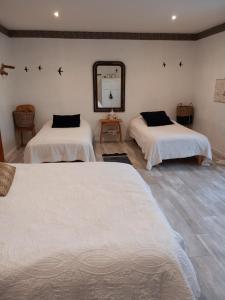 Pokój z 2 łóżkami i lustrem w obiekcie Les Tilleuls w mieście Saint-Jean-dÊ¼Avelanne