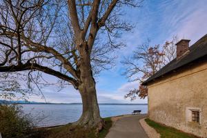 Příroda nedaleko apartmánu + 3 fotografie