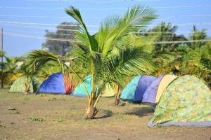Gallery image of Alibag Beach Camping Ashu in Kolgaon
