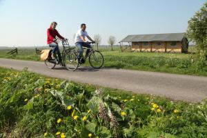 dos personas montando bicicletas por un camino en Safaritent Lisdodde, en Lettelbert