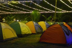 Gallery image of Alibag Beach Camping Ashu in Kolgaon