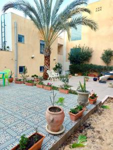 a courtyard with potted plants and a palm tree at Villa Azaiiza in Sousse