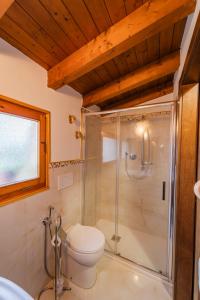 ein Bad mit einer Dusche und einem WC in der Unterkunft La Loggia in Comacchio