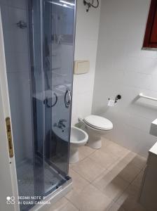 スティンティーノにあるStintino vista mareのトイレとガラスのシャワー付きのバスルーム