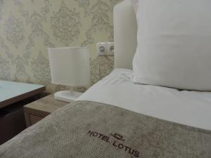 Foto dalla galleria di Hotel Lotus a Akhaltsikhe